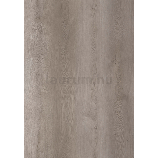 INFINITUS Grey Majestic Oak SPC padló
