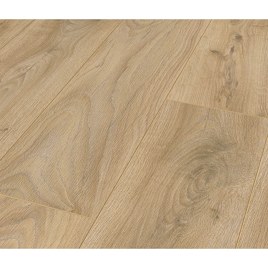 Oak Salerno